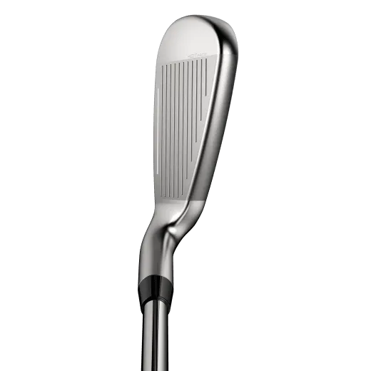 DS-Adapt MAX 6 klubbor Grafit